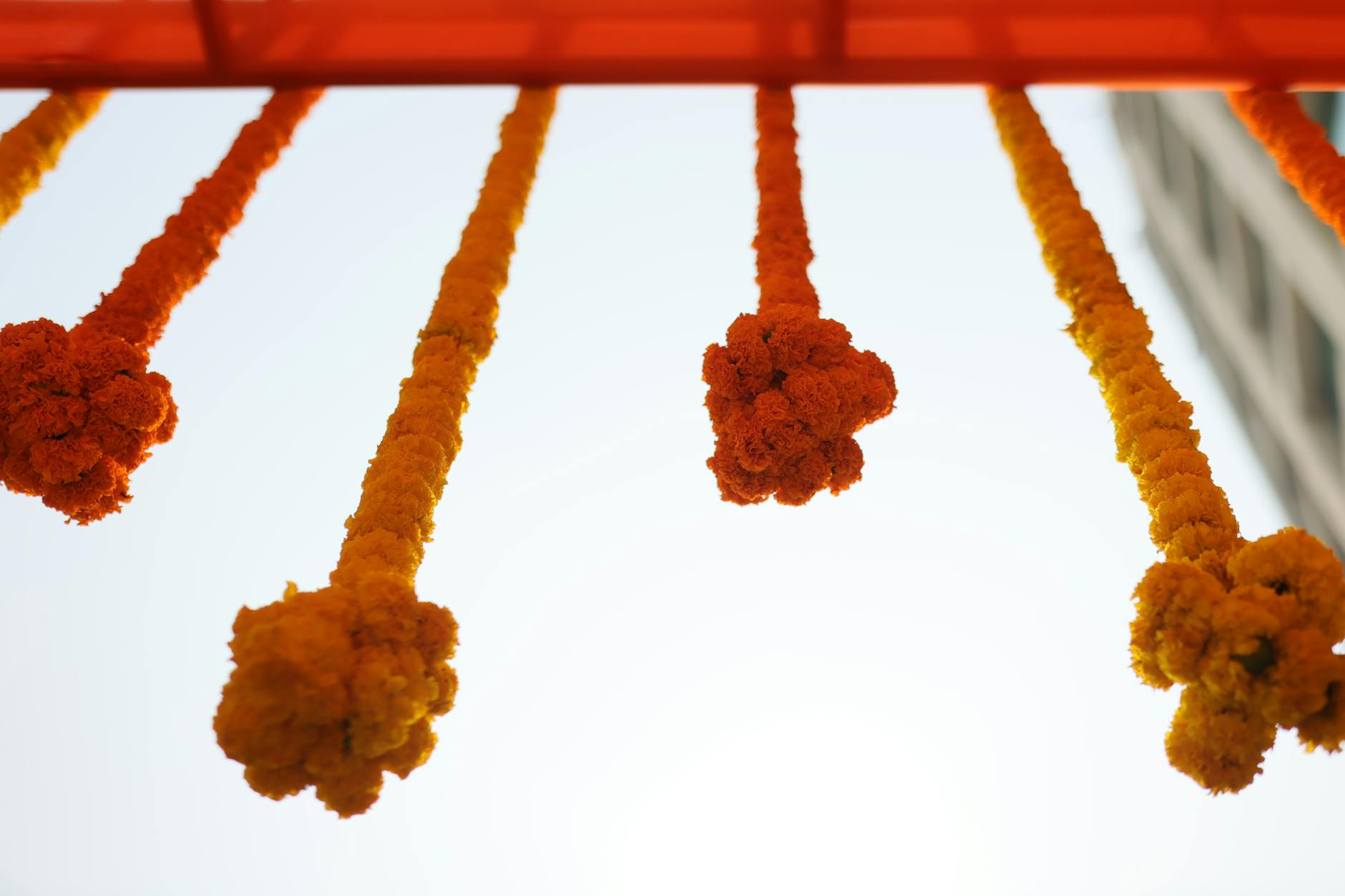 Polaroid-Style Photo Display Garland