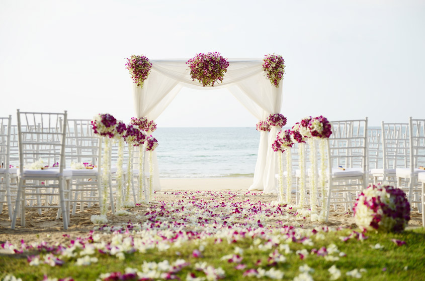 How to Choose a Master of Ceremonies (MC) for Your Wedding: The Complete 2026 Guide