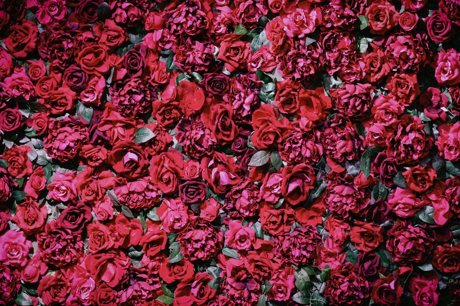 Floral wall backdrop, a bridal shower decoration idea for photos