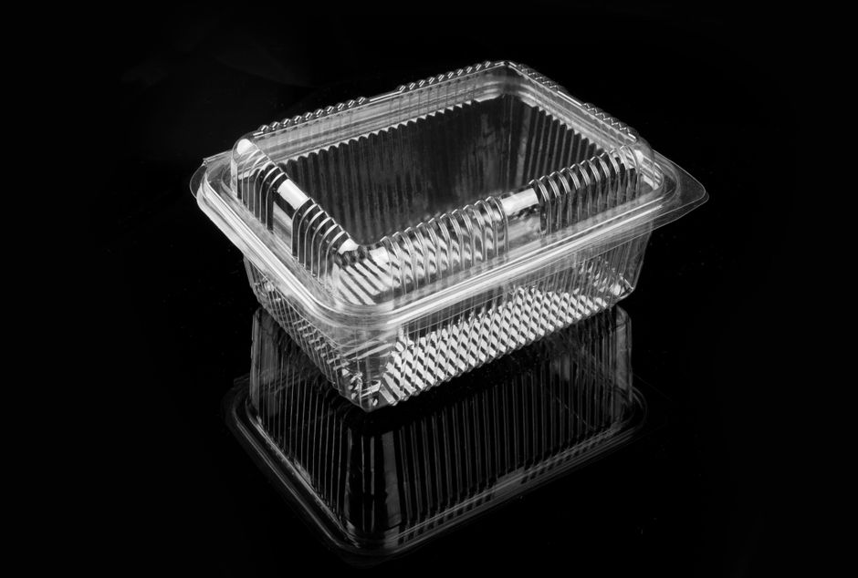 Clear plastic storage box protecting a wedding corsage