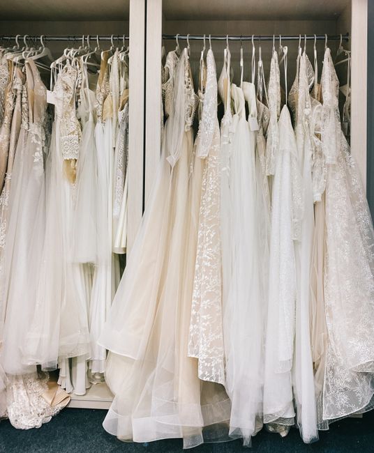 Breathable wedding dress garment bag hanging in a closet