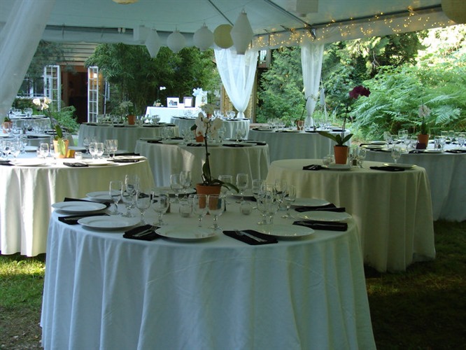 Green Apple Events & Catering, LLC wedding vendor photo