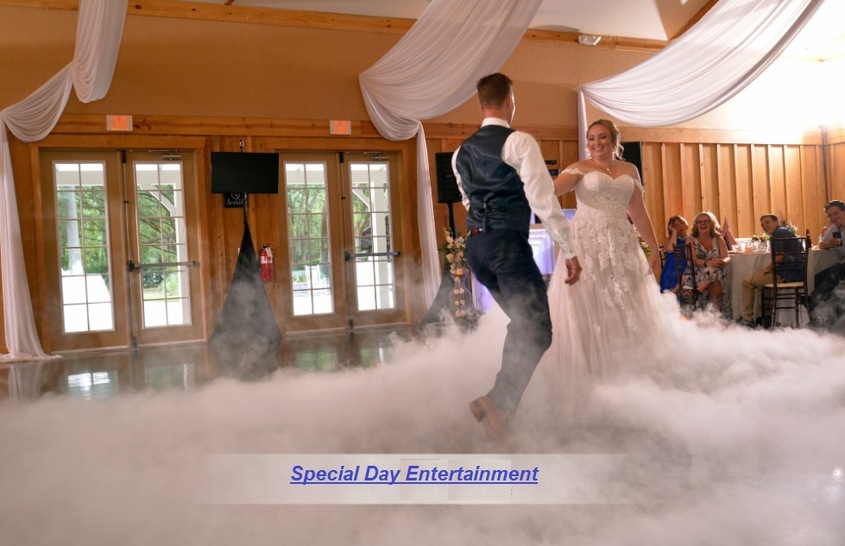 Special Day Entertainment wedding vendor photo