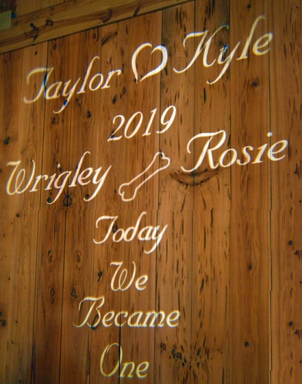 Special Day Entertainment wedding vendor photo