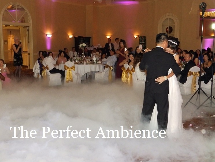 Special Day Entertainment wedding vendor photo