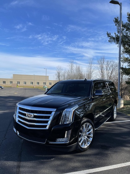 Metro Detroit Transportation And Limo Service wedding vendor photo