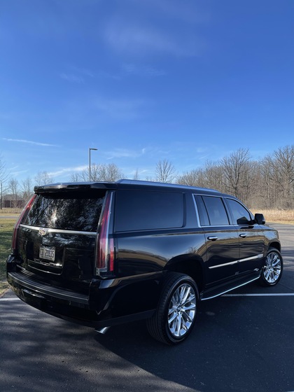 Metro Detroit Transportation And Limo Service wedding vendor photo