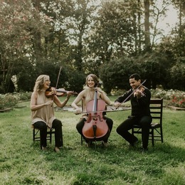 Photo of Vermilion Strings, a wedding live music in Baton Rouge