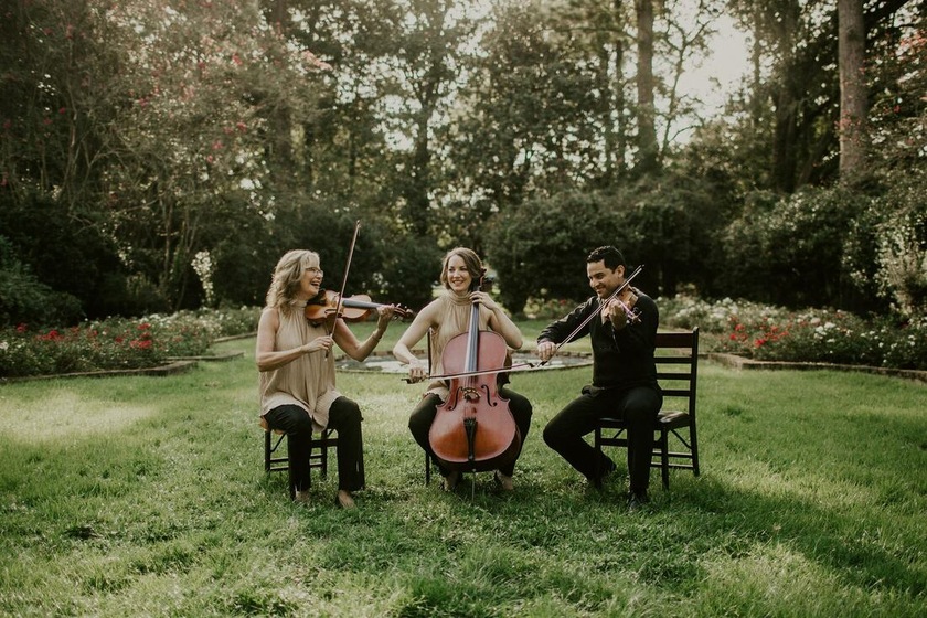 Vermilion Strings wedding vendor photo