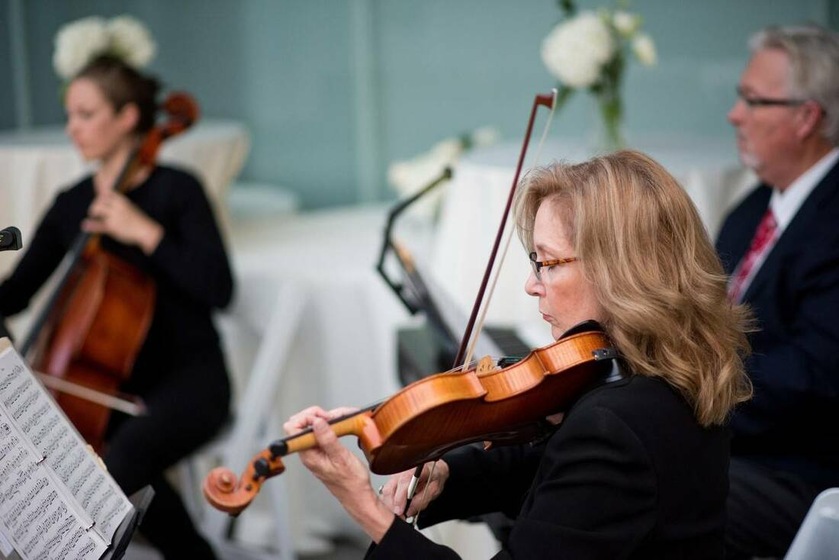 Vermilion Strings wedding vendor photo