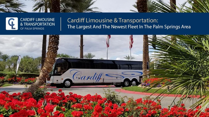 Cardiff Limousine And Transportation Of Palm Springs wedding vendor photo