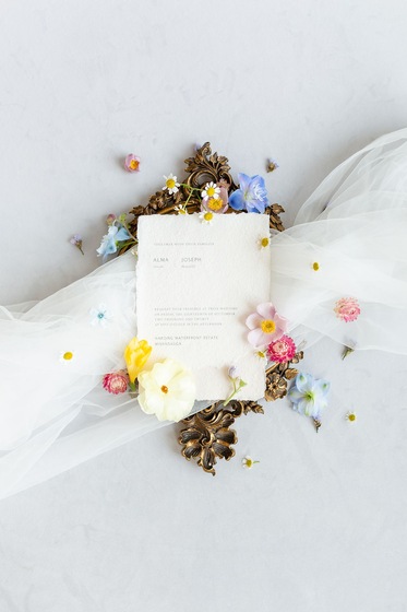 Zealand Photography wedding vendor photo