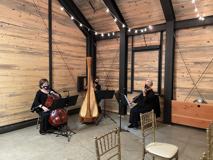 Karengarritymusic.com wedding vendor photo