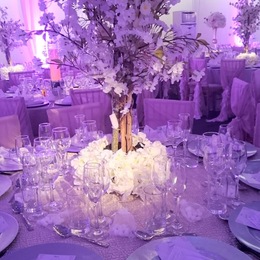 Photo of Deloy Events, a wedding decoration stores in Dallas