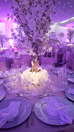 Deloy Events wedding vendor photo