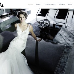 Silhouette  Bridal photo