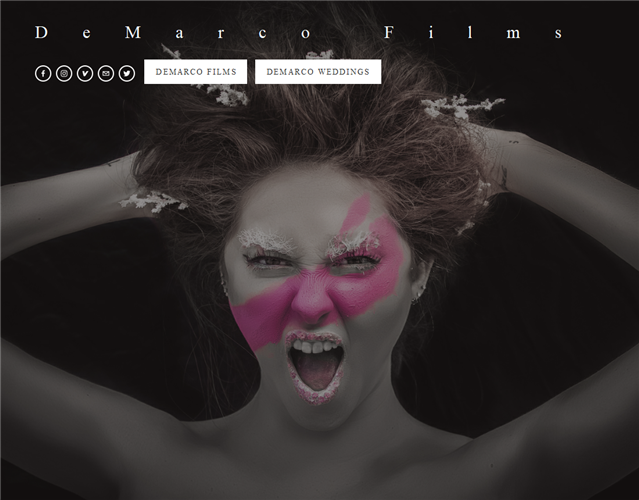 DeMarco Films wedding vendor photo