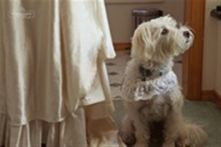 Greatest of Days wedding vendor photo