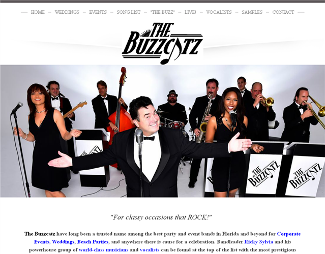 The Buzzcatz Band wedding vendor photo