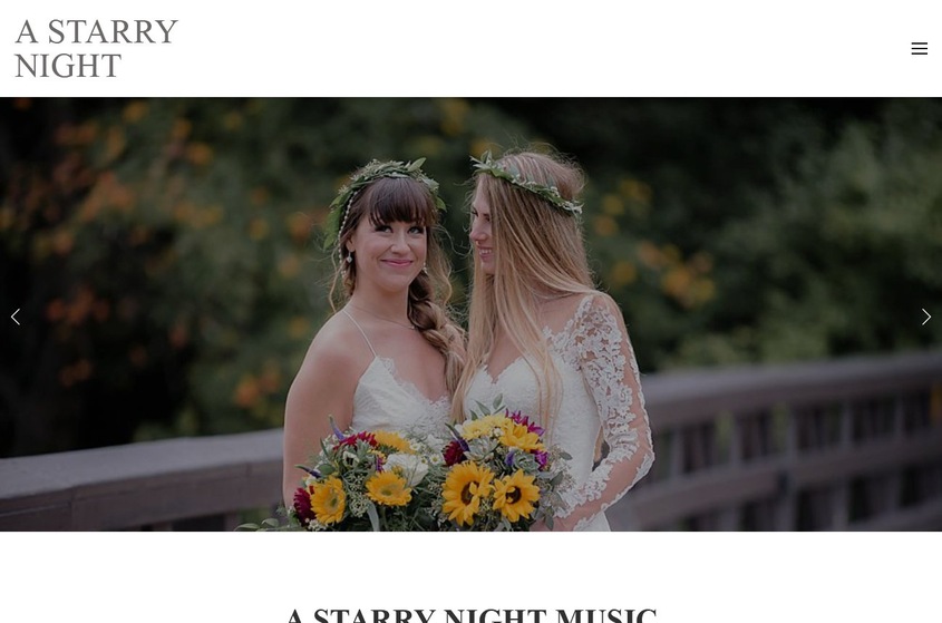 A Starry Night Music wedding vendor photo