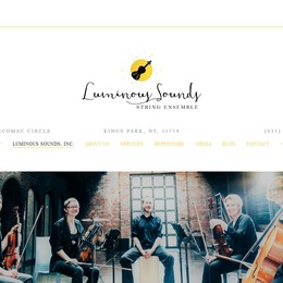 Photo of Luminous Sound, a wedding live music in New York