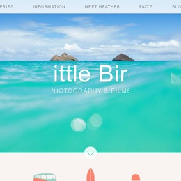 Little Bird Photography photo