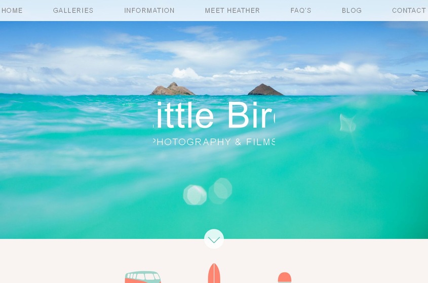 Little Bird Photography wedding vendor photo