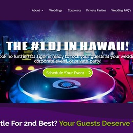 Photo of Tiger Jones Productions, a wedding DJ in Hawaii