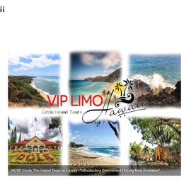 Vip Limo Hawaii photo