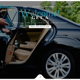 Hawaii Car Service photo