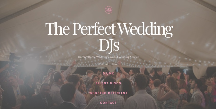 The Perfect Wedding DJs wedding vendor photo