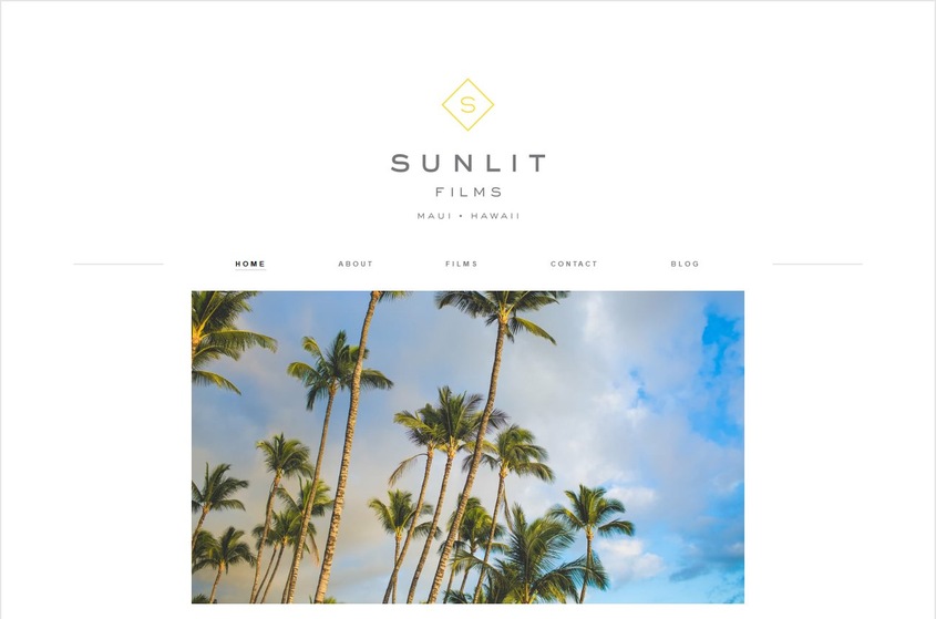 Sunlit Films wedding vendor photo