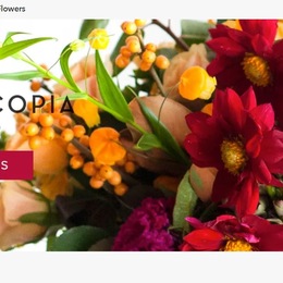 Photo of Dave's Flowers, a wedding florist in Los Angeles
