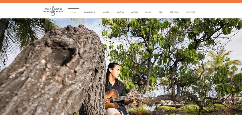 Bula Music wedding vendor photo