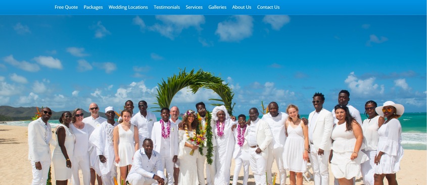 Sweet Hawaii Wedding wedding vendor photo