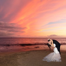 Photo of Bliss Wedding Design & Spectacular Events, a wedding planner in Seattle