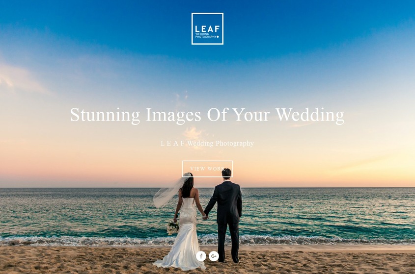 Leaf Wedding Photography wedding vendor photo