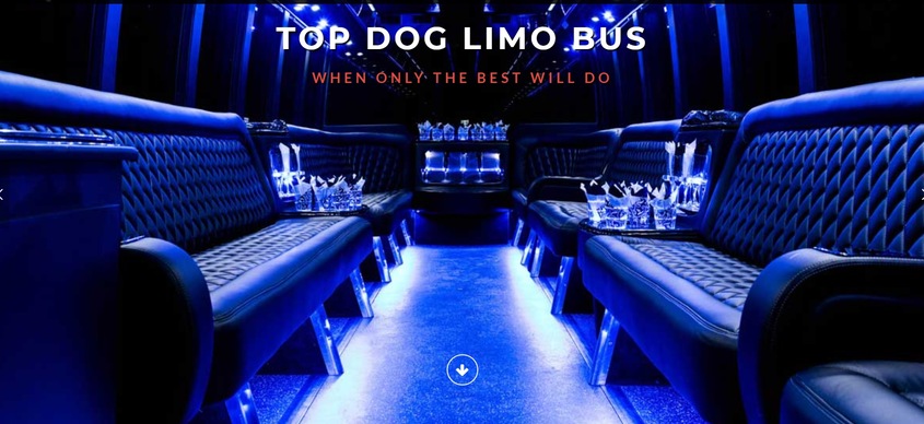 Top Dog Limo Bus wedding vendor photo