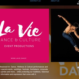 Photo of La Vie Dance & Culture, a wedding dance instructor in San Diego