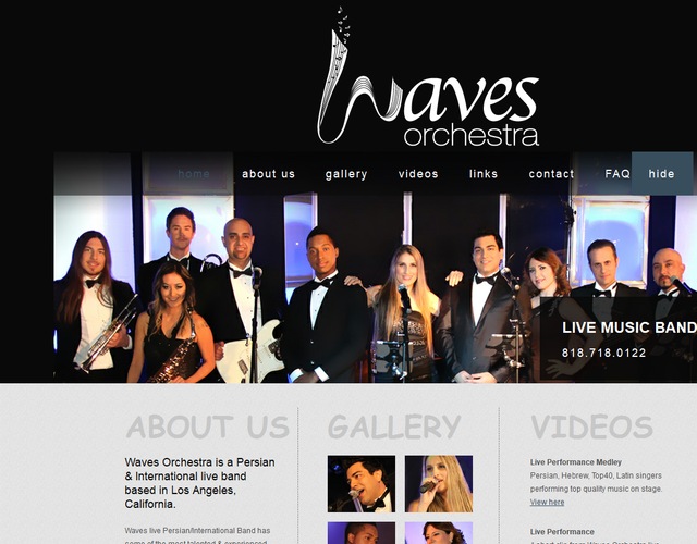Waves Orchestra  wedding vendor photo