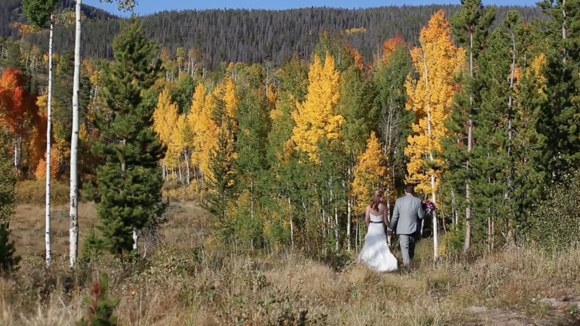Lupher Arts Wedding Motion Pictures wedding vendor photo