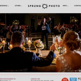 Photo of Sprung Photo, a wedding photographer in Chicago