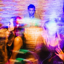 Discosapien photo