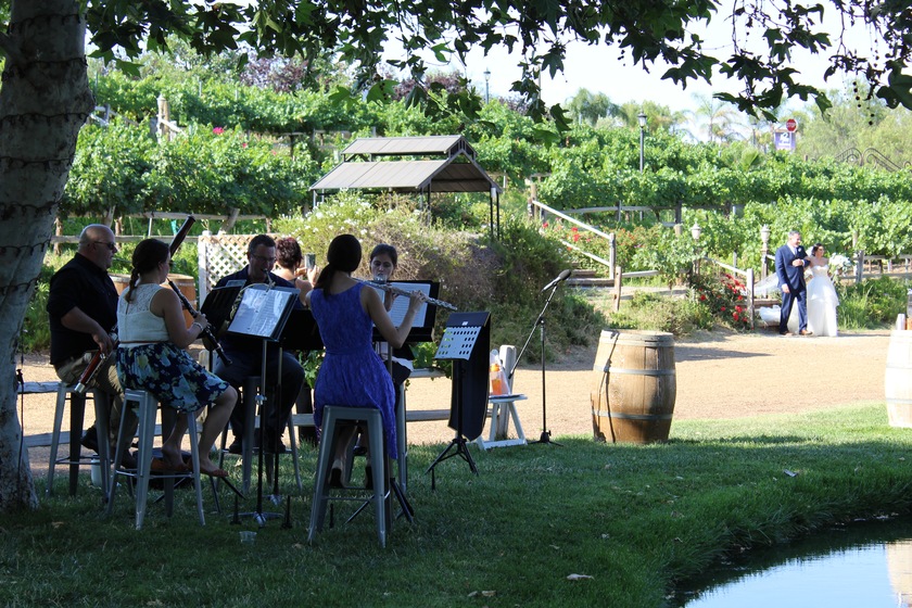 Left Coast Quintet wedding vendor photo