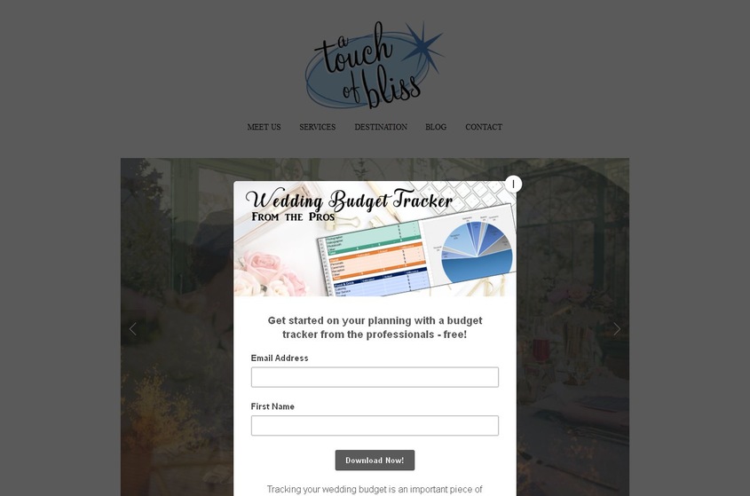 A Touch of Bliss wedding vendor photo