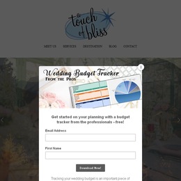 Photo of A Touch Of Bliss, a wedding planner in Denver