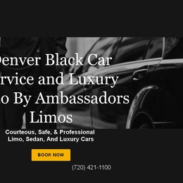 Photo of Ambassadors Limos, a wedding limo service in Denver