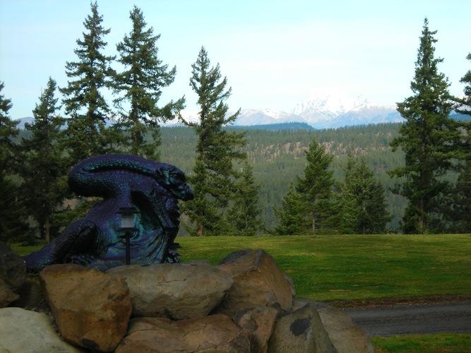 Dragonwood wedding vendor photo