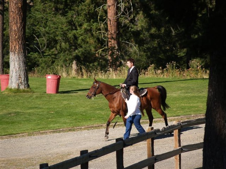 Dragonwood wedding vendor photo