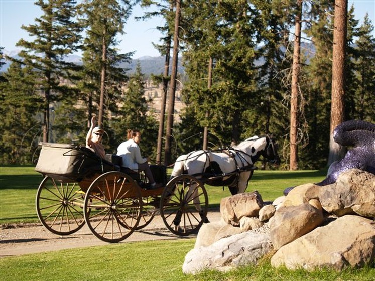 Dragonwood wedding vendor photo